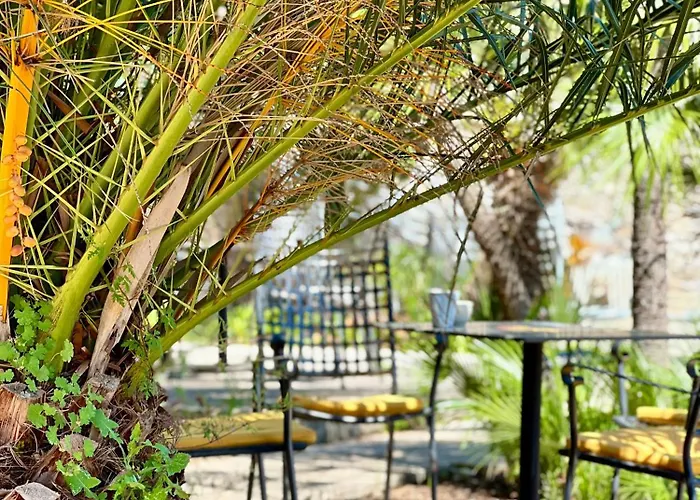 Garden فندق 3*