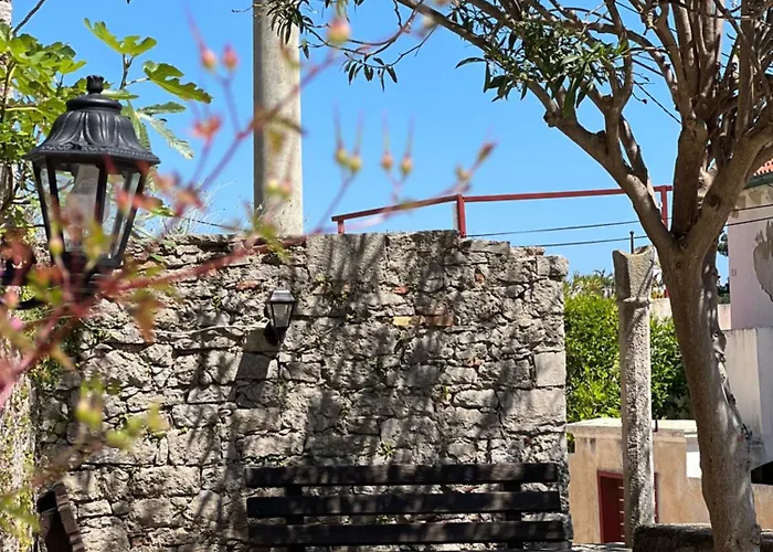 Garden فندق