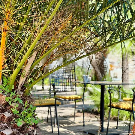 Garden فندق 3*