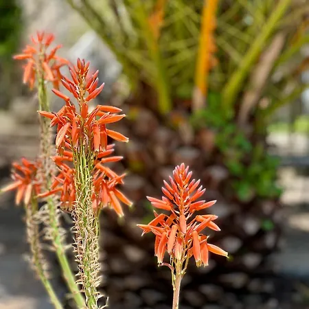 Garden 3*